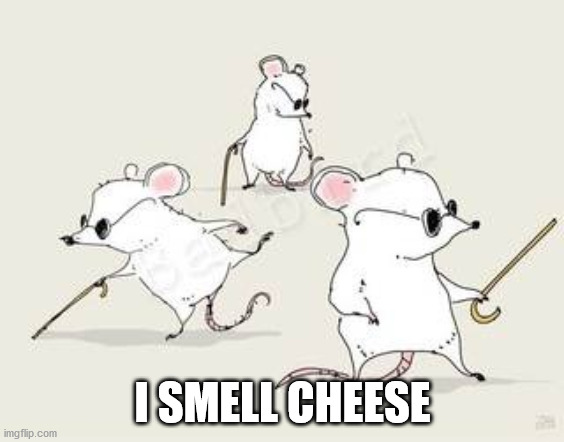 Blind mice | I SMELL CHEESE | image tagged in blind mice | made w/ Imgflip meme maker
