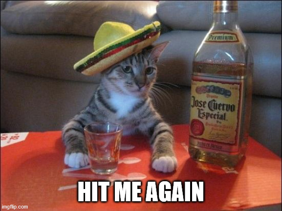 Tequila Cat | HIT ME AGAIN | image tagged in tequila cat | made w/ Imgflip meme maker