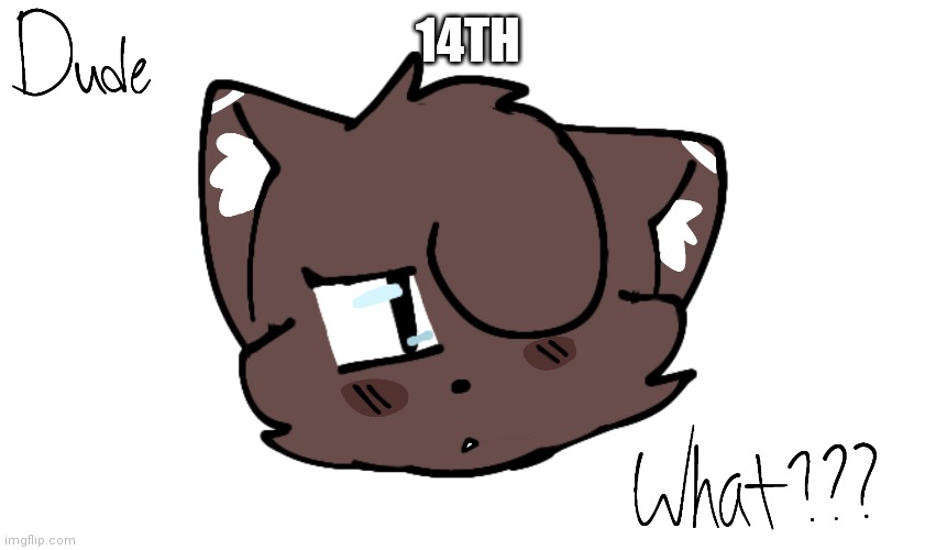 . | 14TH | image tagged in bruh | made w/ Imgflip meme maker