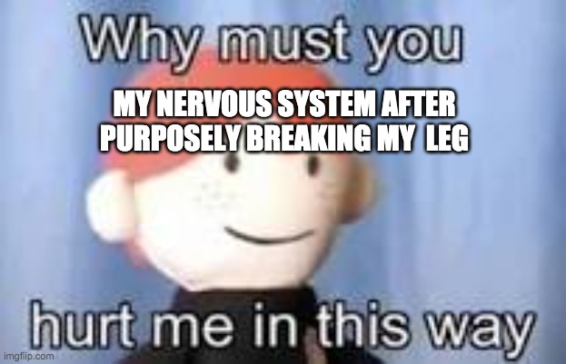 monke | MY NERVOUS SYSTEM AFTER PURPOSELY BREAKING MY  LEG | image tagged in why must you hurt me in this way | made w/ Imgflip meme maker
