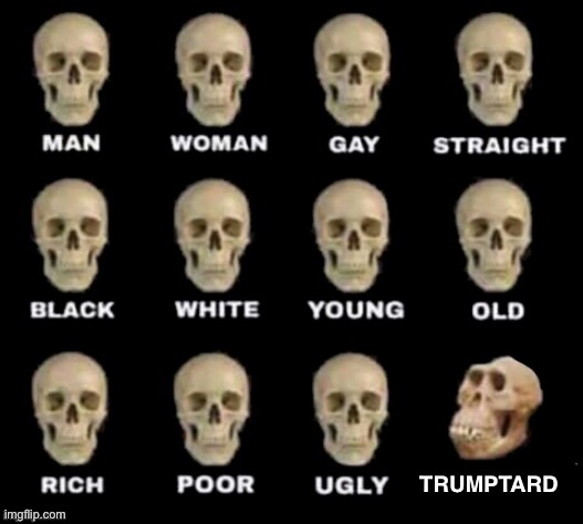 No caption needed | TRUMPTARD | image tagged in idiot skull | made w/ Imgflip meme maker