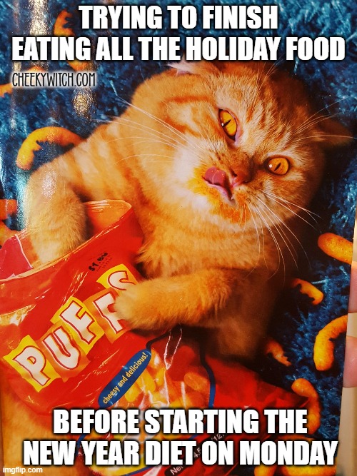 New Year Diet | TRYING TO FINISH EATING ALL THE HOLIDAY FOOD; Cheekywitch.com; BEFORE STARTING THE NEW YEAR DIET ON MONDAY | image tagged in cat eating cheetos | made w/ Imgflip meme maker