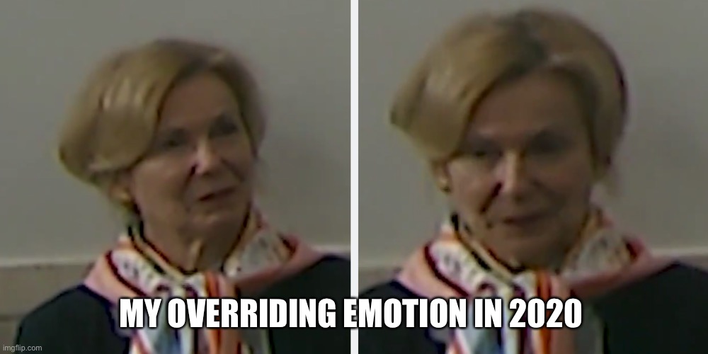 2020 Feels | MY OVERRIDING EMOTION IN 2020 | image tagged in stupidity,deborah,drink bleach,donald trump,covidiots,conspiracy | made w/ Imgflip meme maker