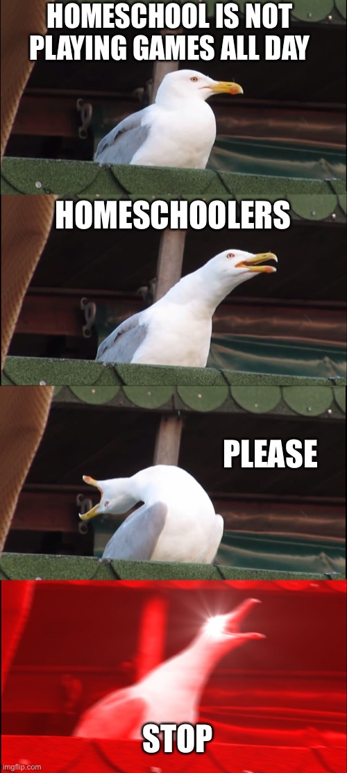Inhaling Seagull | HOMESCHOOL IS NOT PLAYING GAMES ALL DAY; HOMESCHOOLERS; PLEASE; STOP | image tagged in memes,inhaling seagull | made w/ Imgflip meme maker