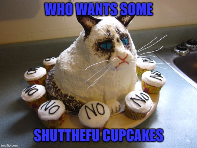 No! | WHO WANTS SOME; SHUTTHEFU CUPCAKES | image tagged in grumpy cat,memes,cats,cupcakes,food | made w/ Imgflip meme maker
