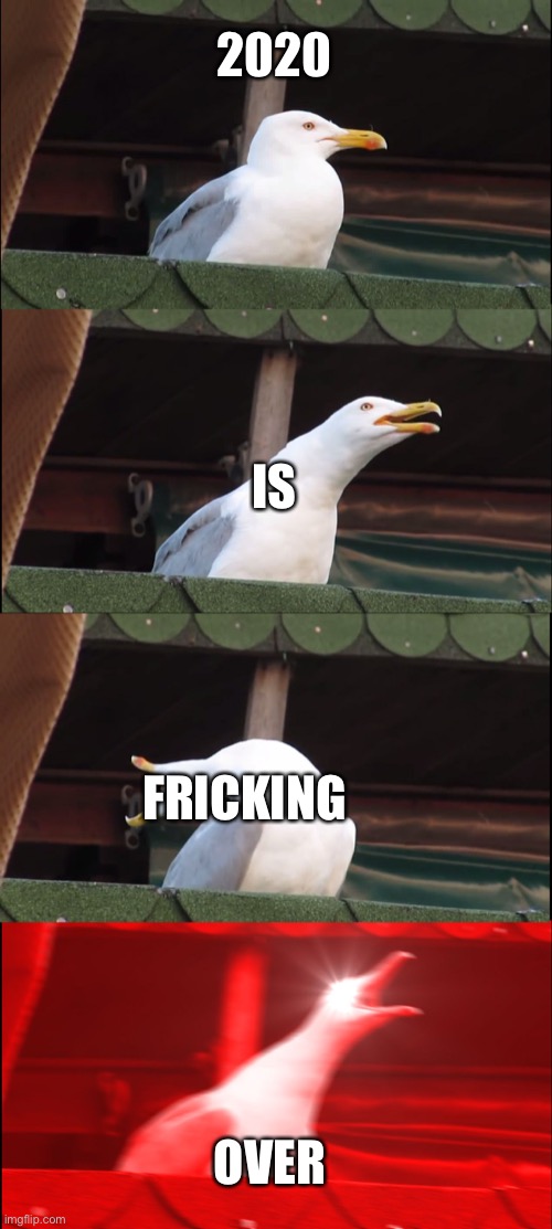 Inhaling Seagull | 2020; IS; FRICKING; OVER | image tagged in memes,inhaling seagull | made w/ Imgflip meme maker