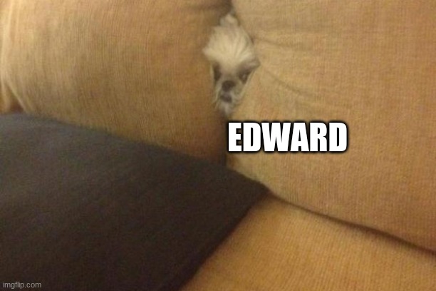 EDWARD. | EDWARD | image tagged in edward,dog,stuck | made w/ Imgflip meme maker
