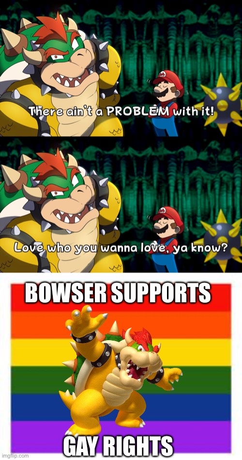 bowser supports gay rights | BOWSER SUPPORTS; GAY RIGHTS | image tagged in if you wanna see the video,just ask | made w/ Imgflip meme maker