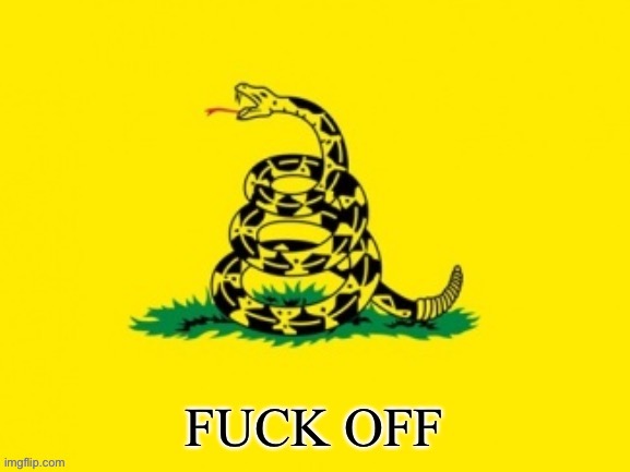 My political views summed up in one picture | image tagged in gadsden flag | made w/ Imgflip meme maker