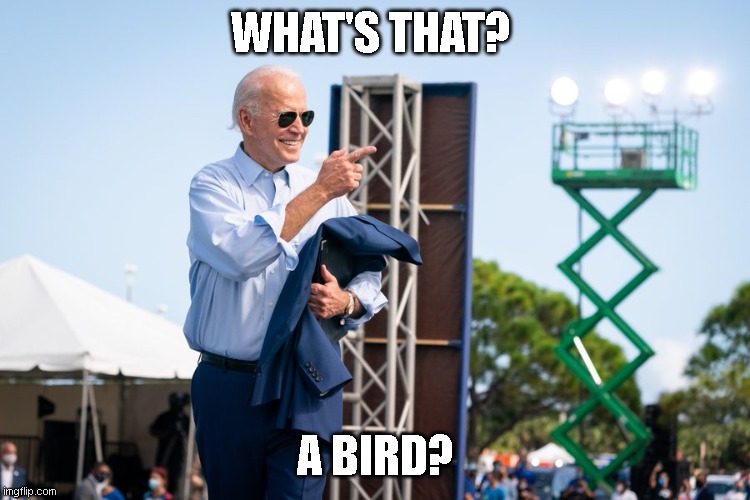 Biden | WHAT'S THAT? A BIRD? | image tagged in smilin biden | made w/ Imgflip meme maker