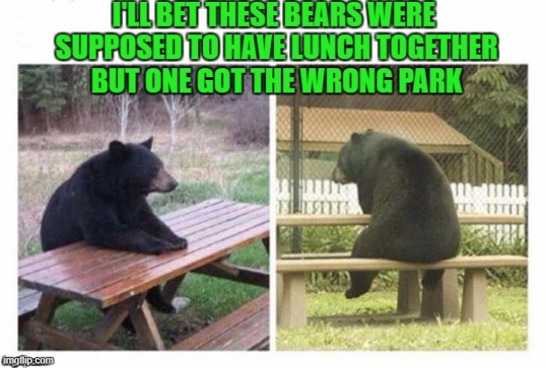 The loneliness is unbearable... | image tagged in bears,memes | made w/ Imgflip meme maker