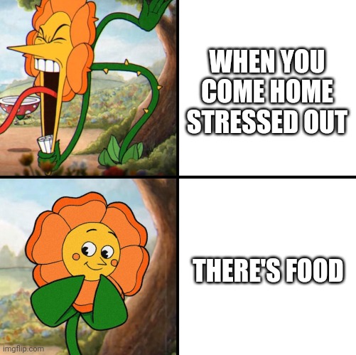 angry flower | WHEN YOU COME HOME STRESSED OUT; THERE'S FOOD | image tagged in angry flower | made w/ Imgflip meme maker