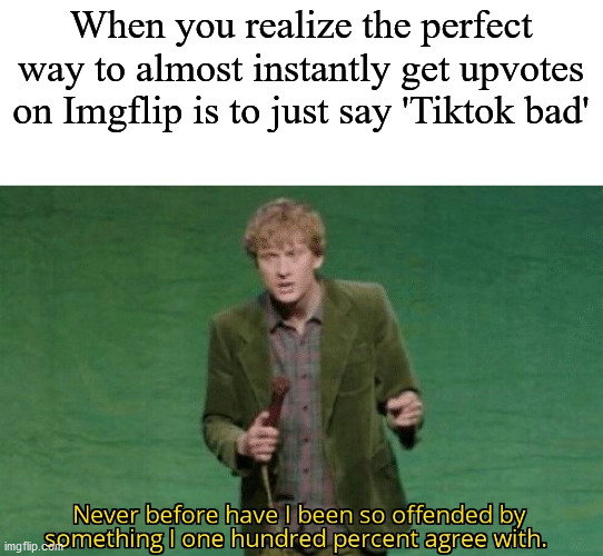 Never before have I been so offended by something I one hundred |  When you realize the perfect way to almost instantly get upvotes on Imgflip is to just say 'Tiktok bad' | image tagged in never before have i been so offended by something i one hundred | made w/ Imgflip meme maker