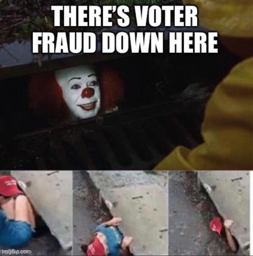 image tagged in voter fraud | made w/ Imgflip meme maker