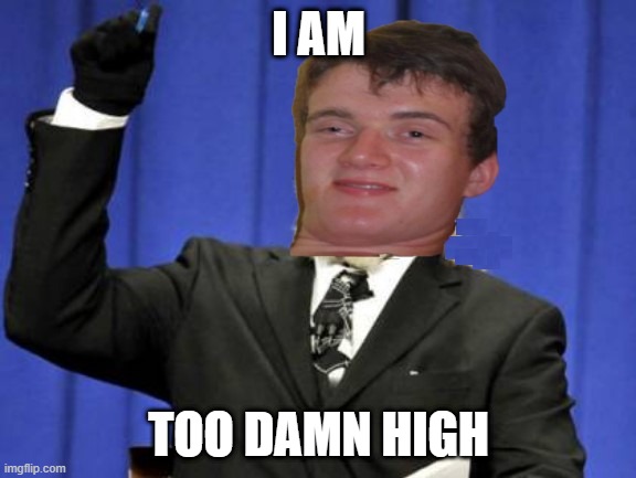 10 Guy Too High | I AM; TOO DAMN HIGH | image tagged in funny meme,10 guy,too damn high | made w/ Imgflip meme maker