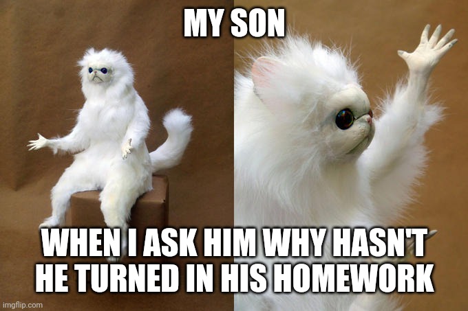 Children |  MY SON; WHEN I ASK HIM WHY HASN'T HE TURNED IN HIS HOMEWORK | image tagged in memes,persian cat room guardian | made w/ Imgflip meme maker