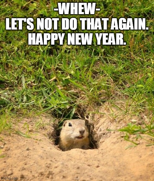 Let's NOT Do This Again.  Happy New Year. | -WHEW-
LET'S NOT DO THAT AGAIN.
HAPPY NEW YEAR. | image tagged in funny,politics,2021 | made w/ Imgflip meme maker