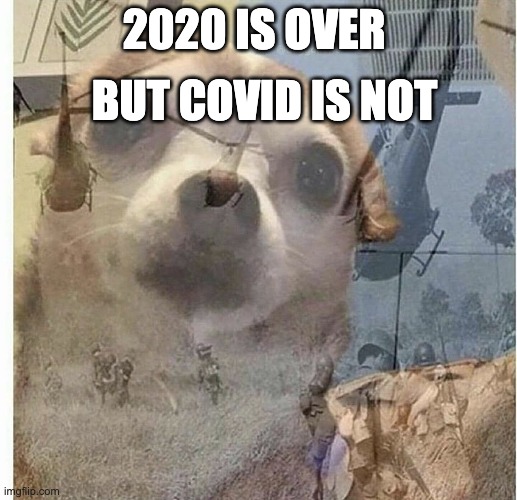 PTSD Chihuahua | BUT COVID IS NOT; 2020 IS OVER | image tagged in ptsd chihuahua | made w/ Imgflip meme maker