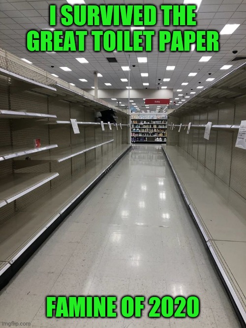 Toilet Paper Empty Shelves | I SURVIVED THE GREAT TOILET PAPER; FAMINE OF 2020 | image tagged in toilet paper empty shelves | made w/ Imgflip meme maker