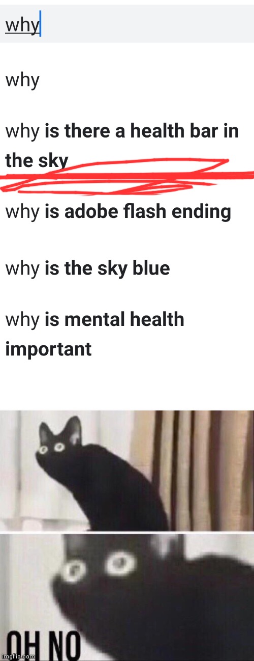 image tagged in oh no cat,oh no black cat,google,google search,2020,2021 | made w/ Imgflip meme maker