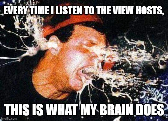 The view | EVERY TIME I LISTEN TO THE VIEW HOSTS, THIS IS WHAT MY BRAIN DOES | image tagged in the view | made w/ Imgflip meme maker