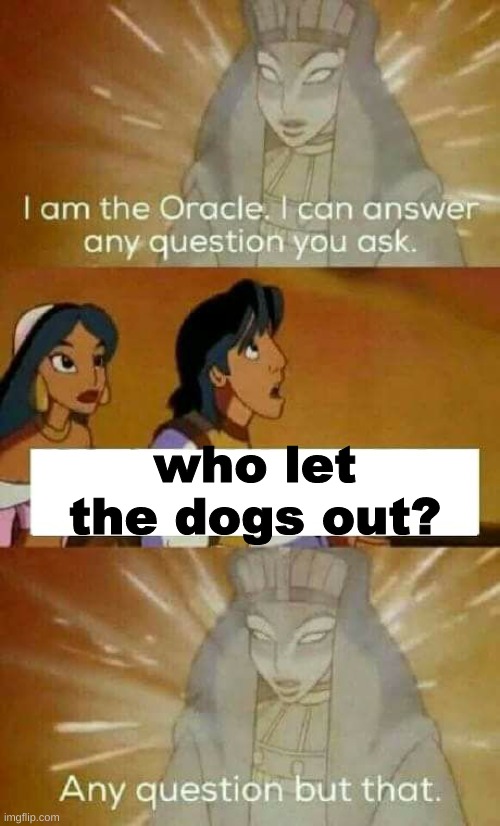 Who let the dogs out? | who let the dogs out? | image tagged in oracle question | made w/ Imgflip meme maker