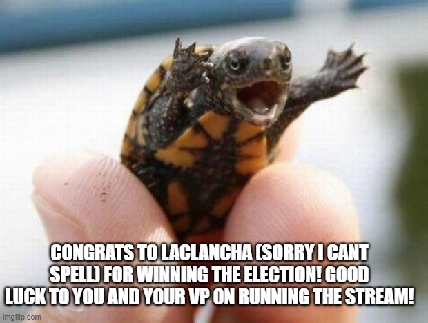 happy baby turtle | CONGRATS TO LACLANCHA (SORRY I CANT SPELL) FOR WINNING THE ELECTION! GOOD LUCK TO YOU AND YOUR VP ON RUNNING THE STREAM! | image tagged in happy baby turtle | made w/ Imgflip meme maker