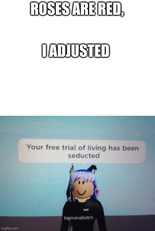 Somebody came up and said this to me | ROSES ARE RED, I ADJUSTED | image tagged in blank white template | made w/ Imgflip meme maker