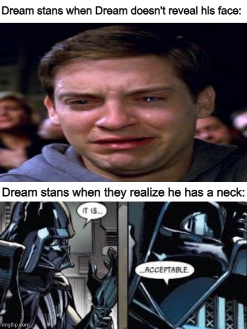 Dream face reveal |  Dream stans when Dream doesn't reveal his face:; Dream stans when they realize he has a neck: | image tagged in dream,face reveal,neck,youtube rewind | made w/ Imgflip meme maker