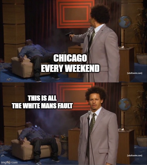 gun control | CHICAGO EVERY WEEKEND; THIS IS ALL THE WHITE MANS FAULT | image tagged in politics | made w/ Imgflip meme maker