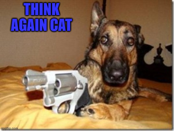 THINK AGAIN CAT | made w/ Imgflip meme maker