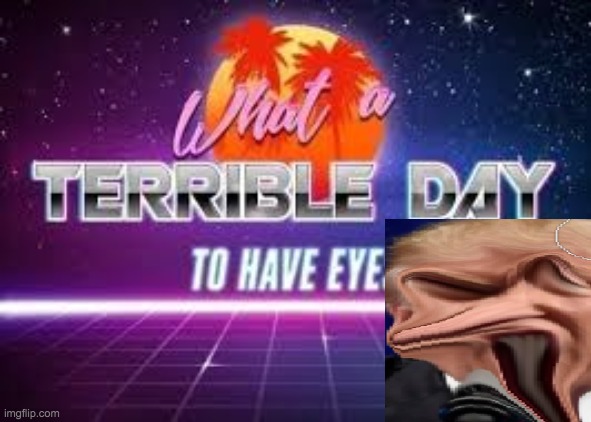 Excuse me, what is that??? | image tagged in what a terrible day to have eyes | made w/ Imgflip meme maker