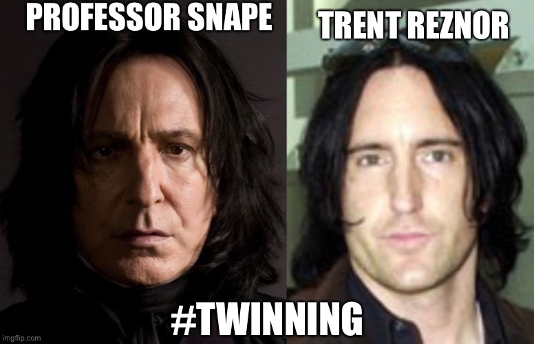 Professor Snape Trent Reznor Harry Potter funny meme Nine Inch Nails NIN -  Imgflip