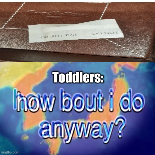 How bout I do anyway | Toddlers: | image tagged in how bout i do anyway,toddler | made w/ Imgflip meme maker