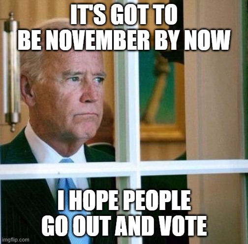 Sad Joe Biden | IT'S GOT TO BE NOVEMBER BY NOW; I HOPE PEOPLE GO OUT AND VOTE | image tagged in sad joe biden | made w/ Imgflip meme maker