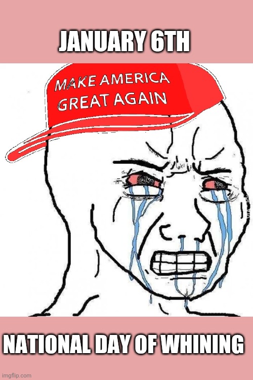 January 6th day of the  beta male | JANUARY 6TH; NATIONAL DAY OF WHINING | image tagged in donald trump,election fraud,voter fraud,never trump,maga,trump supporters | made w/ Imgflip meme maker