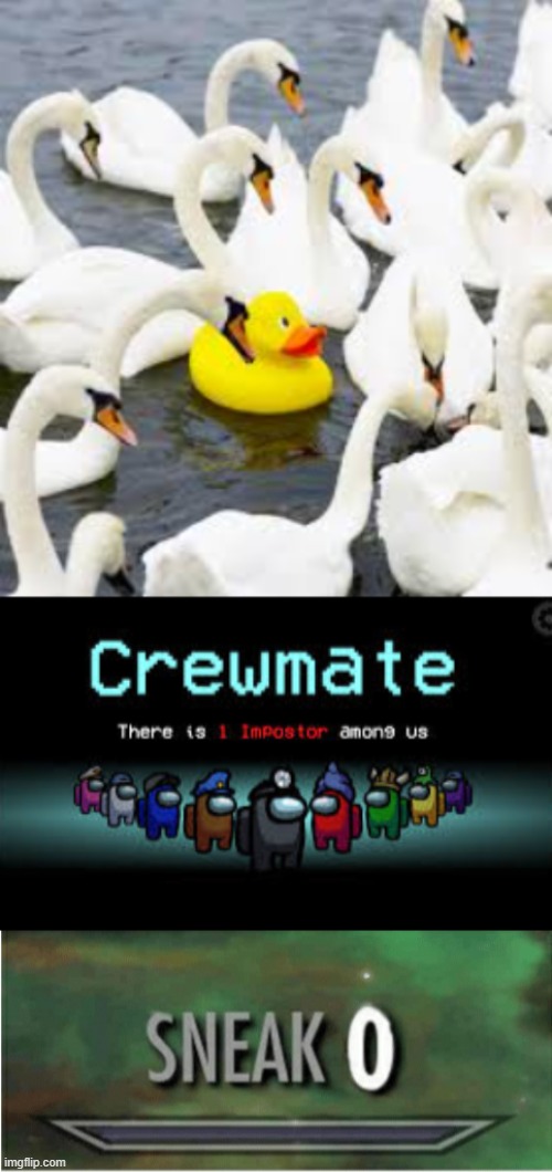 Nice try ducky | image tagged in one impostor among us,there is 1 imposter among us,sneak 0 | made w/ Imgflip meme maker