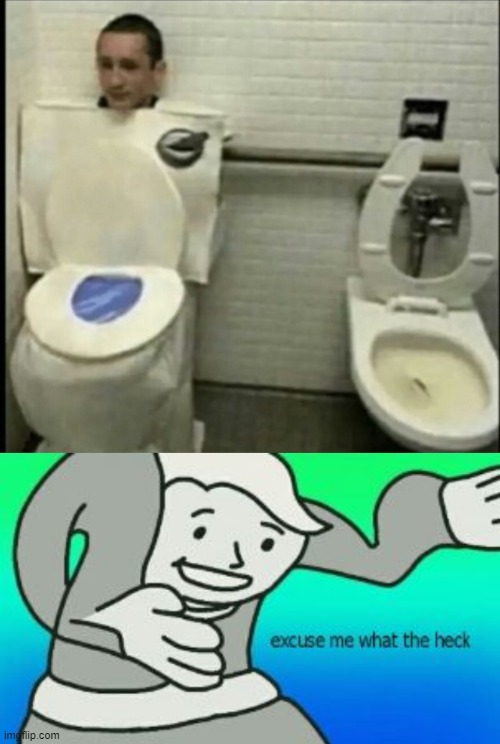 I have some concerns.... | image tagged in toilet disguise,excuse me what the heck | made w/ Imgflip meme maker