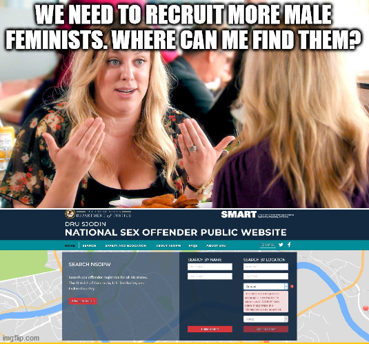 Male Feminists | WE NEED TO RECRUIT MORE MALE FEMINISTS. WHERE CAN ME FIND THEM? | image tagged in the male feminist | made w/ Imgflip meme maker