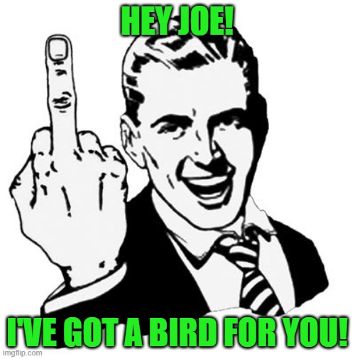 1950s Middle Finger Meme | HEY JOE! I'VE GOT A BIRD FOR YOU! | image tagged in memes,1950s middle finger | made w/ Imgflip meme maker