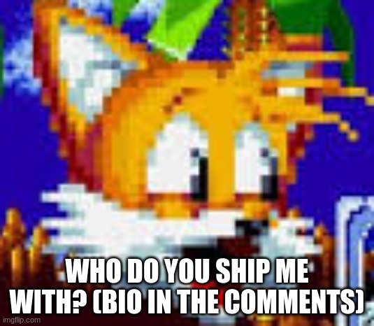 tails pog | WHO DO YOU SHIP ME WITH? (BIO IN THE COMMENTS) | image tagged in tails pog,memes | made w/ Imgflip meme maker