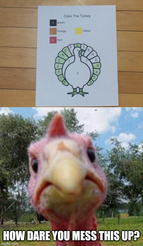 Color the turkey | HOW DARE YOU MESS THIS UP? | image tagged in turkey,you had one job,memes,meme,color,fails | made w/ Imgflip meme maker