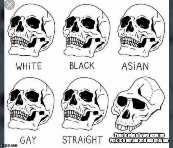 White Black Asian Gay Straight skull template | People who always assume Pink is a female and use she/her | image tagged in white black asian gay straight skull template | made w/ Imgflip meme maker