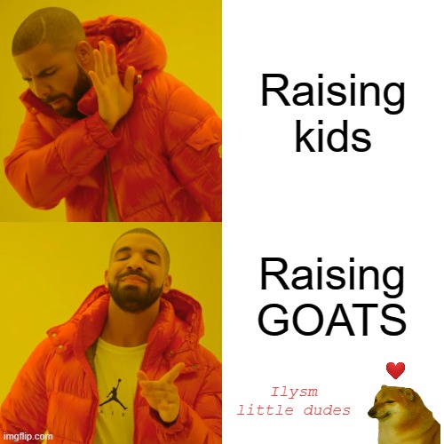 Drake Hotline Bling | Raising kids; Raising GOATS; Ilysm little dudes | image tagged in memes,drake hotline bling | made w/ Imgflip meme maker