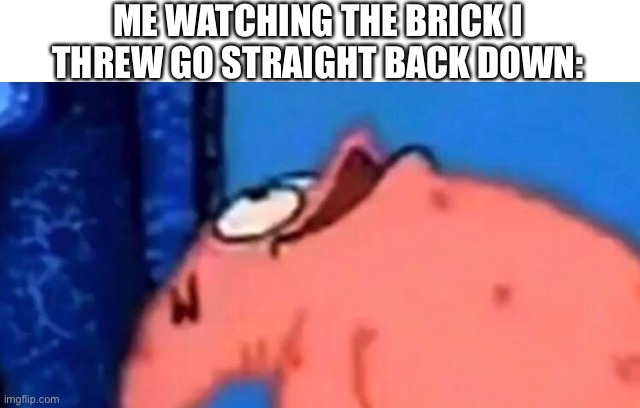 Patrick looking up | ME WATCHING THE BRICK I THREW GO STRAIGHT BACK DOWN: | image tagged in patrick looking up | made w/ Imgflip meme maker