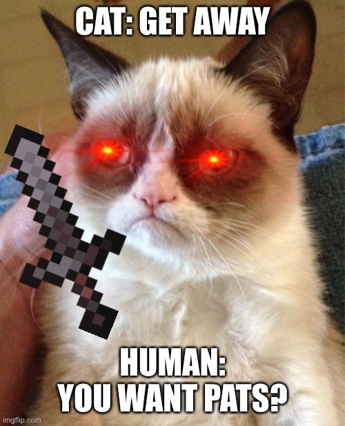 W H A T | CAT: GET AWAY; HUMAN: YOU WANT PATS? | image tagged in memes,grumpy cat,what you want,im mad cat | made w/ Imgflip meme maker