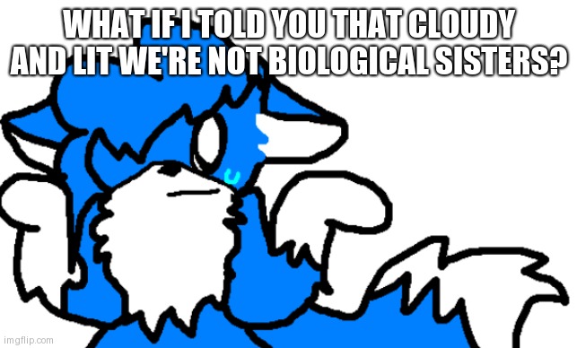 I will explain in a bit | WHAT IF I TOLD YOU THAT CLOUDY AND LIT WE'RE NOT BIOLOGICAL SISTERS? | image tagged in clouddays shrug | made w/ Imgflip meme maker