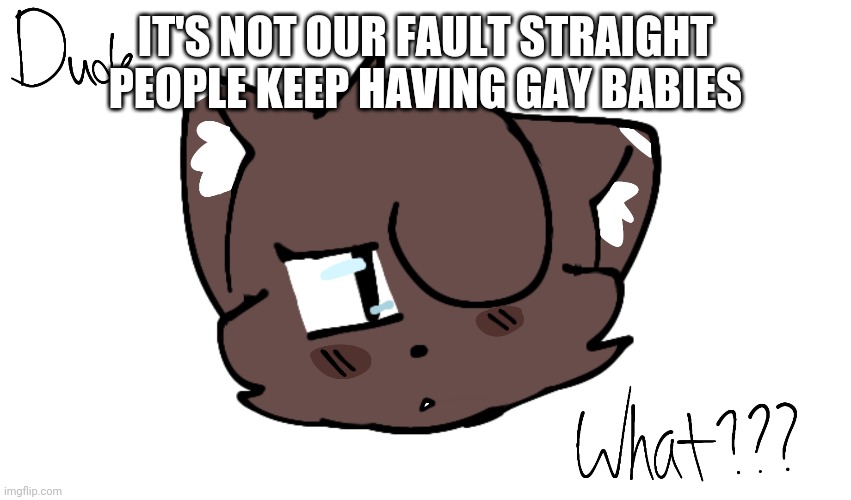 Bruh | IT'S NOT OUR FAULT STRAIGHT PEOPLE KEEP HAVING GAY BABIES | image tagged in bruh | made w/ Imgflip meme maker