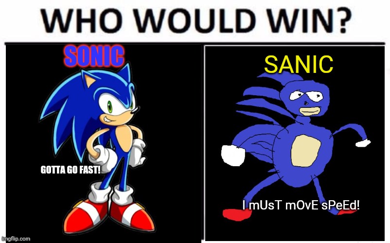 Sonic vs sanic | SONIC; SANIC; GOTTA GO FAST! I mUsT mOvE sPeEd! | image tagged in sonic the hedgehog,sanic,gotta go fast,who would win,video games | made w/ Imgflip meme maker