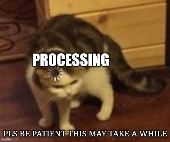 Loading cat | PROCESSING; PLS BE PATIENT THIS MAY TAKE A WHILE | image tagged in loading cat | made w/ Imgflip meme maker